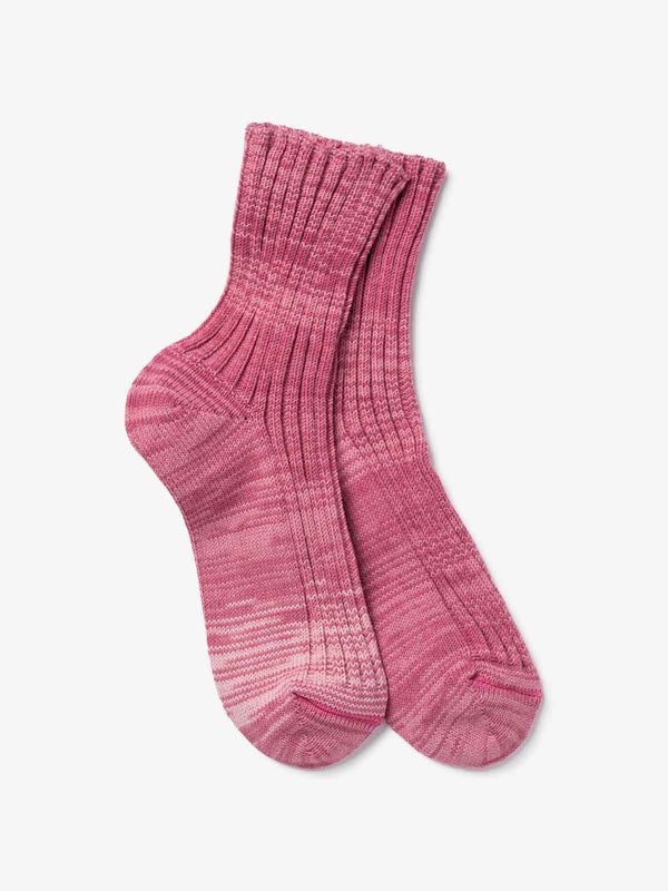 royalties paris INDIA Rose