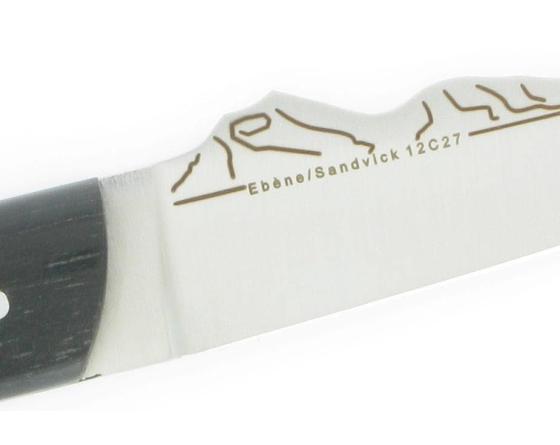 Sabatier 1 Table - Brin D'Auvergne Ebène Sabatier - Brin1ebene