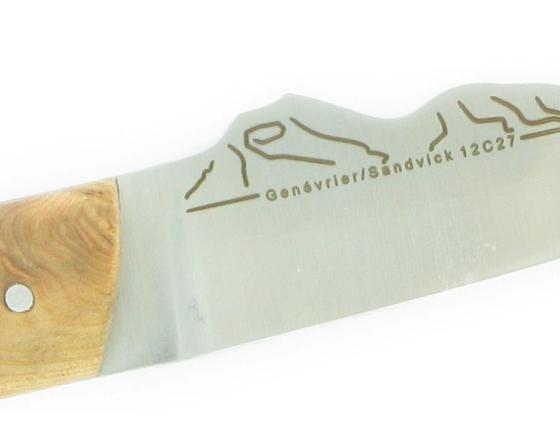 Sabatier 1 Table - Brin D'Auvergne Genévrier Sabatier - Brin1genev