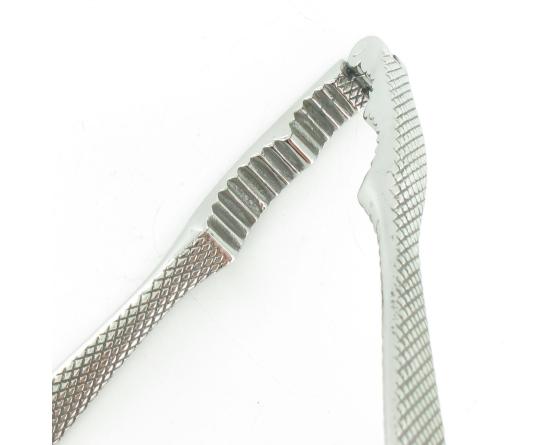 Sabatier Casse-Noix Tout Acier Carbone Forges Foreziennes - 65128