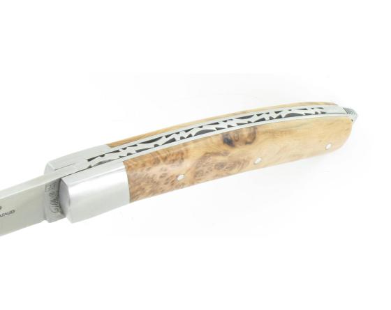 Sabatier Le Thiers Nature Genévrier Fontenille Pataud - Thiers - 11272