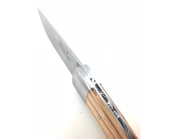 Sabatier Le Thiers Nature Olivier Fontenille Pataud - Thiers - 11271