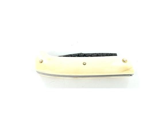 Sabatier Louis Blanchet - Citrea - Damas - Phacochère Blanchet Louis - 33479