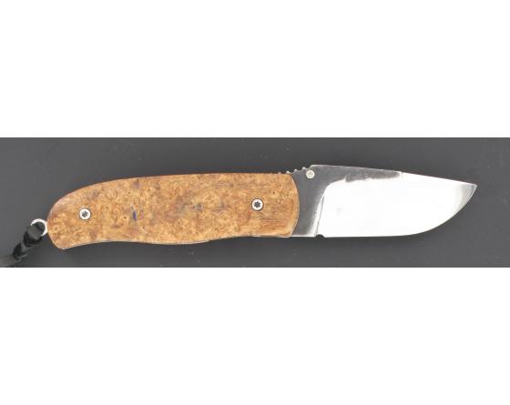 Sabatier Chanta - Erable Stabilisé Citadel - 51135