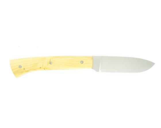 Sabatier Saint-Jacques Buis Renoux - 70139