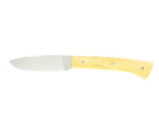 Sabatier Saint-Jacques Buis Renoux - 70139