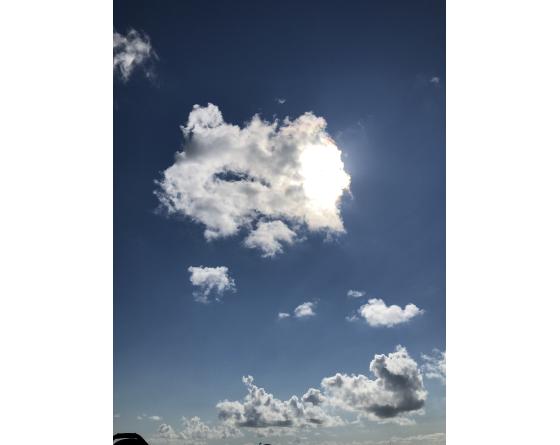 sabatier Tranchelard 25 cm Série 200 - Ebene