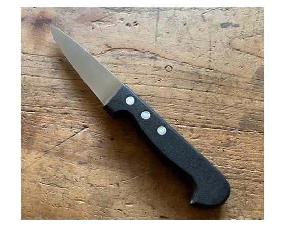 sabatier SAIGNER 11 cm - inox - Manche plastique Ref. 462 Sabatier - 462