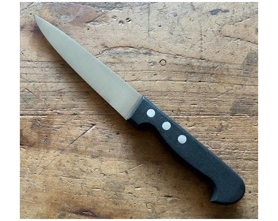 sabatier SAIGNER 17 cm - inox - Manche plastique Ref. 461 Sabatier - 461