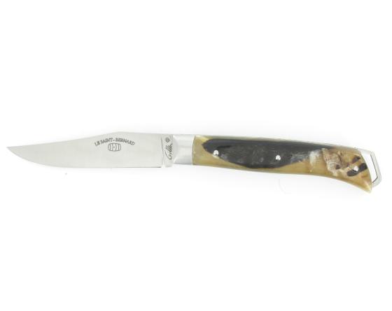 sabatier Saint-Bernard Bélier Fontenille Pataud - Thiers - 11231