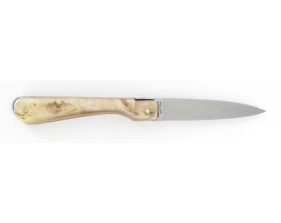 Sabatier Sperone Bélier Fontenille Pataud - Thiers - 11227