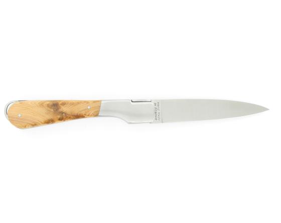 Sabatier Sperone Genévrier - Mitre Fontenille Pataud - Thiers - 11234