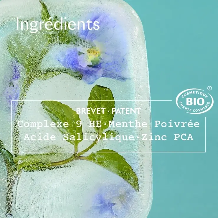 Sanoflore Crème Anti-imperfections Crème Matifiante Et Hydratante Anti-imperfections