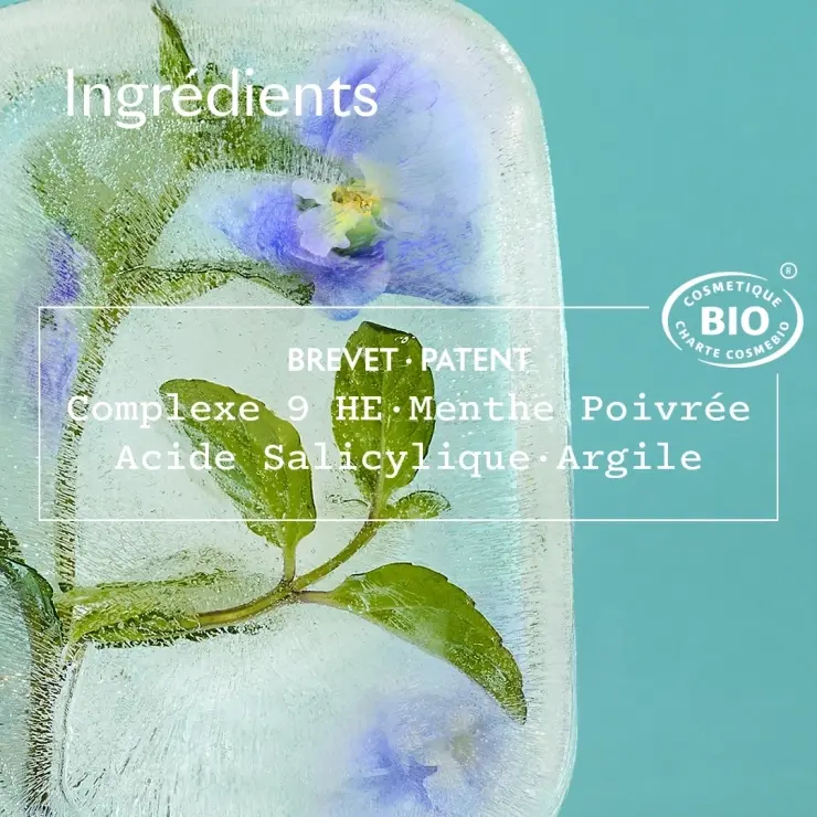 Sanoflore Masque Purifiant Anti-imperfections Masque Purifiant Pour Peaux Mixtes à Grasses