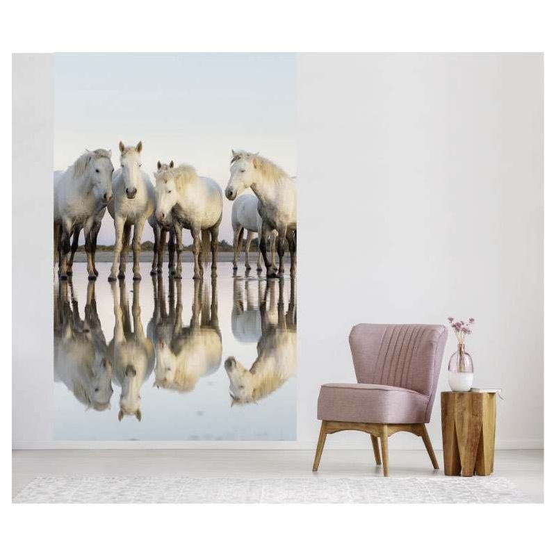 Scenolia Papier Peint Chevaux Blancs Avec Effet Miroir