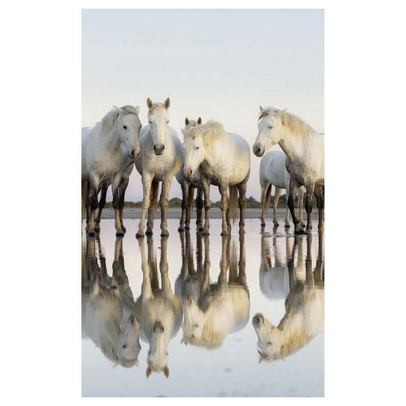 scenolia Papier peint chevaux blancs avec effet miroir