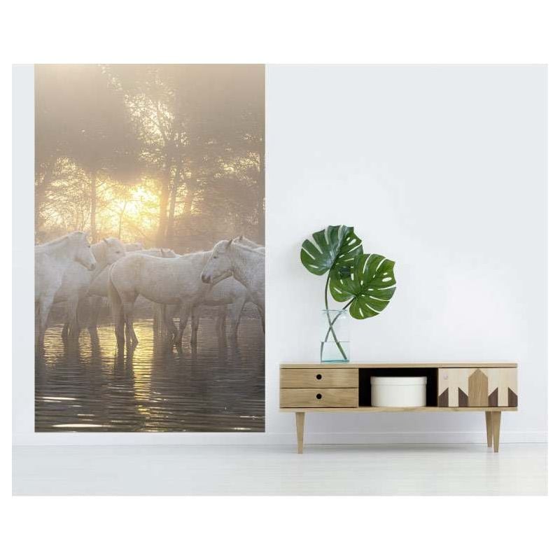 Scenolia Papier Peint Chevaux Dans L'eau Au Lever Du Soleil