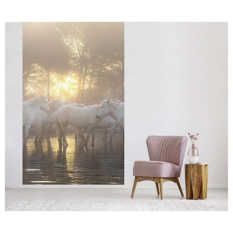 Scenolia Papier Peint Chevaux Dans L'eau Au Lever Du Soleil