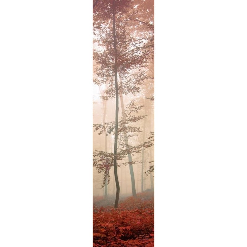 scenolia Papier peint panoramique forêt couleur sépia