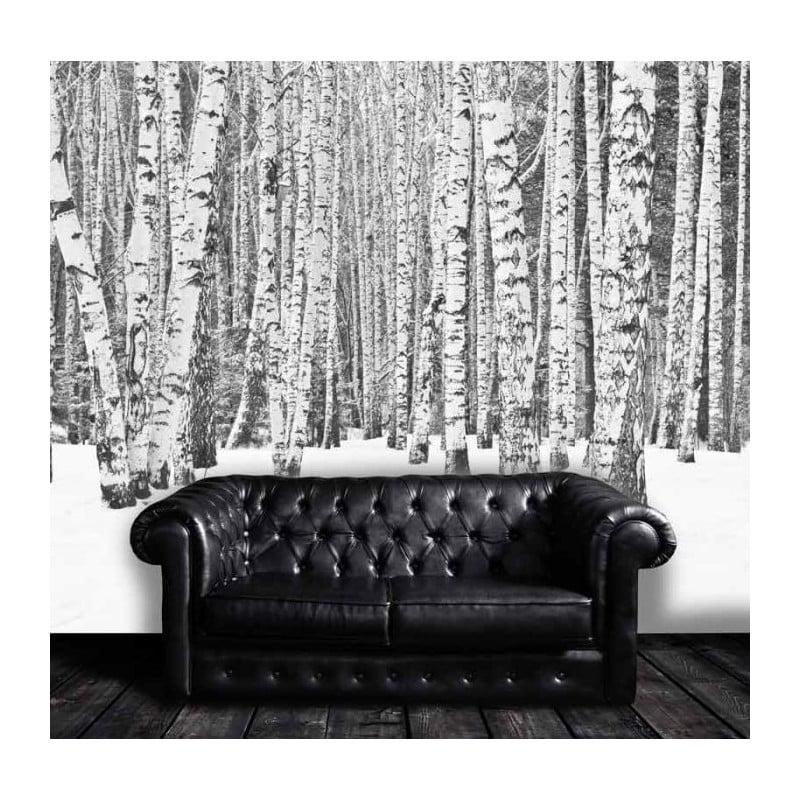 scenolia Papier peint panoramique forêt noir et blanc