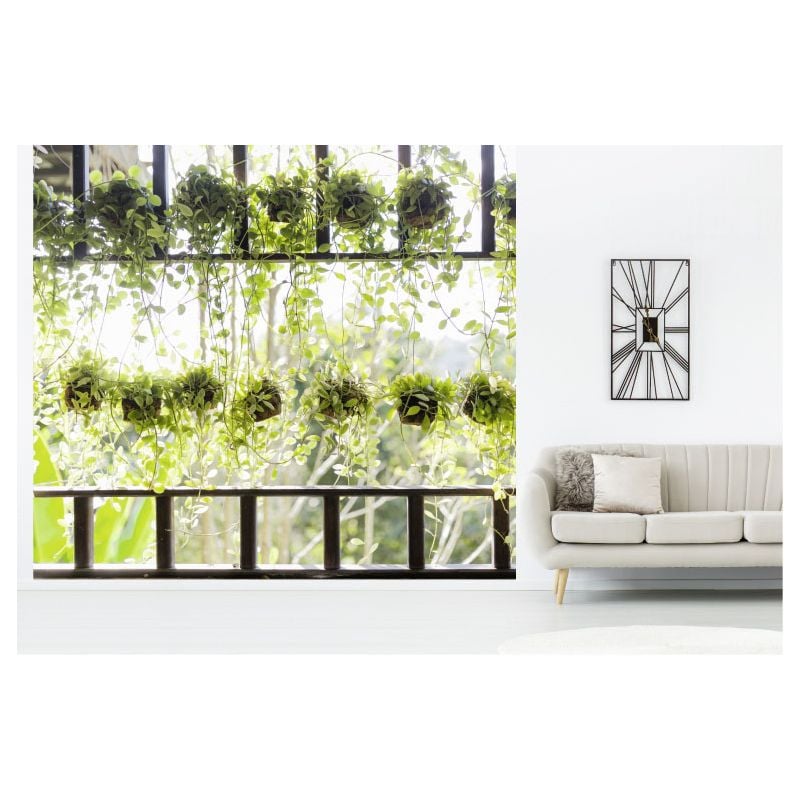 Scenolia Papier Peint Panoramique Plantes Vertes Suspendues