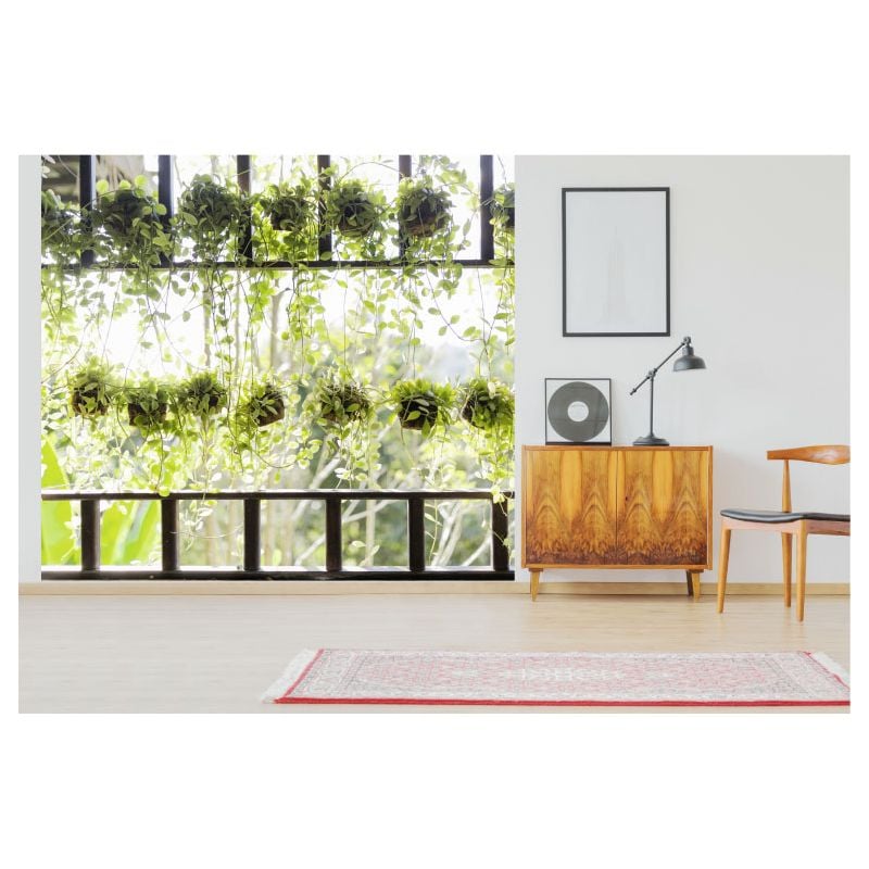 Scenolia Papier Peint Panoramique Plantes Vertes Suspendues
