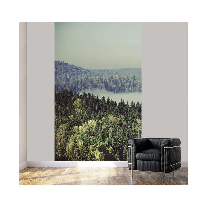 Scenolia Papier Peint Paysage Grand Format Forêt Dans La Brume