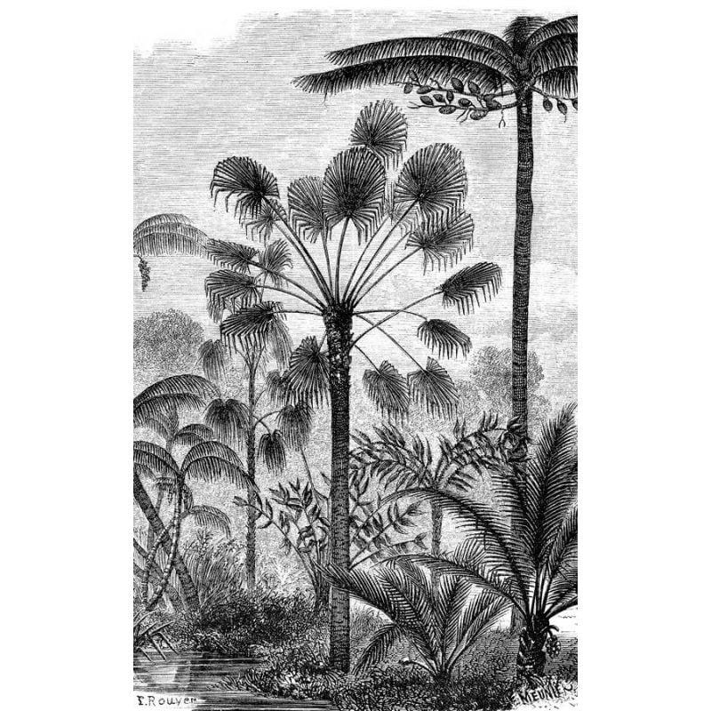 scenolia Papier peint paysage jungle noir et blanc style gravure