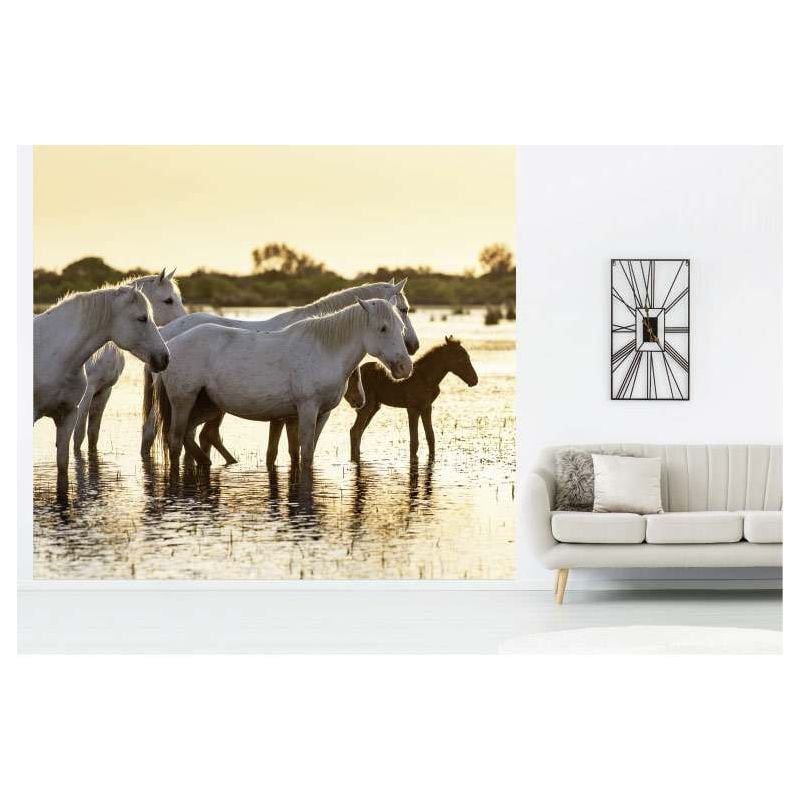 Scenolia Papier Peint Photographie Chevaux Et Paysage De Camargue