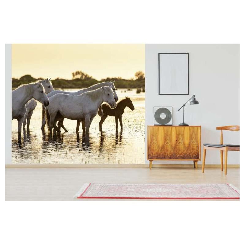 Scenolia Papier Peint Photographie Chevaux Et Paysage De Camargue