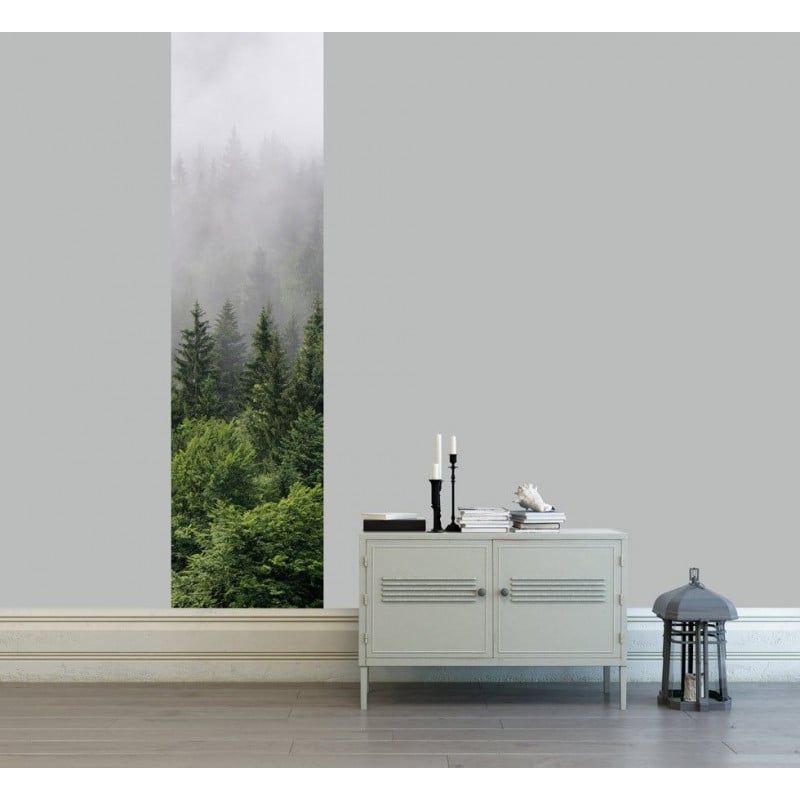 Scenolia Papier Peint Foret Dans La Brume
