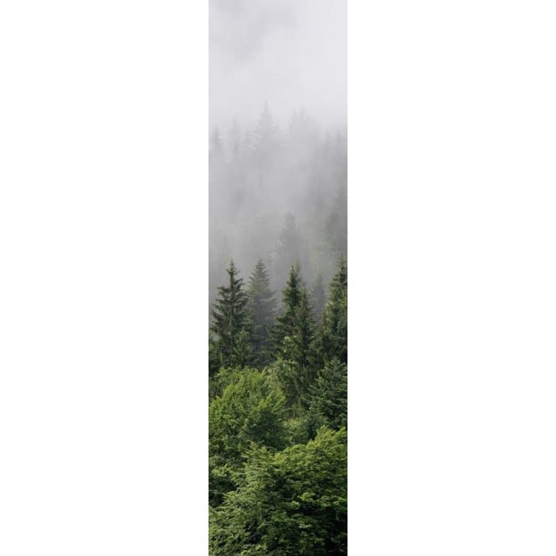scenolia Papier peint foret dans la brume
