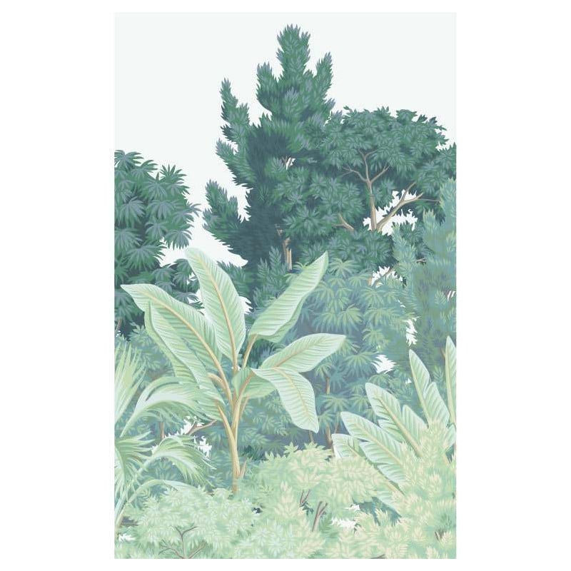 scenolia Papier peint panoramique nature dessinée