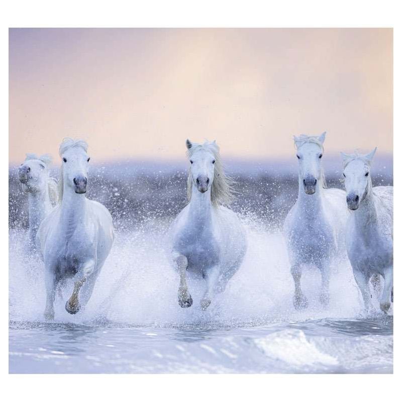 scenolia Papier peint paysage chevaux au galop