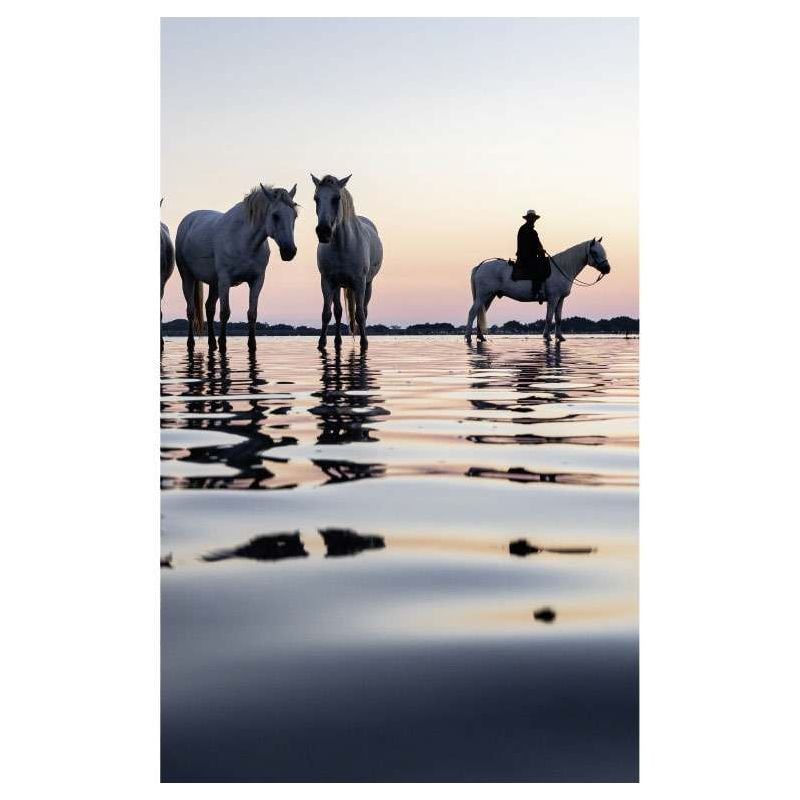 scenolia Papier peint photo Camargue