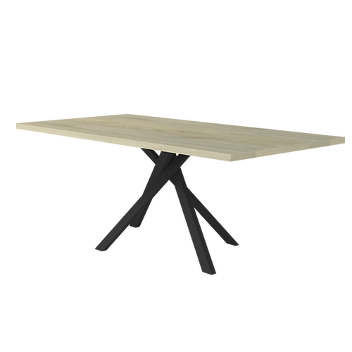Sciae TABLE REC PIED CENTR N13