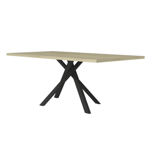 sciae TABLE REC PIED CENTR N13