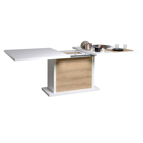 Sciae TABLE RECT 1 ALL N10