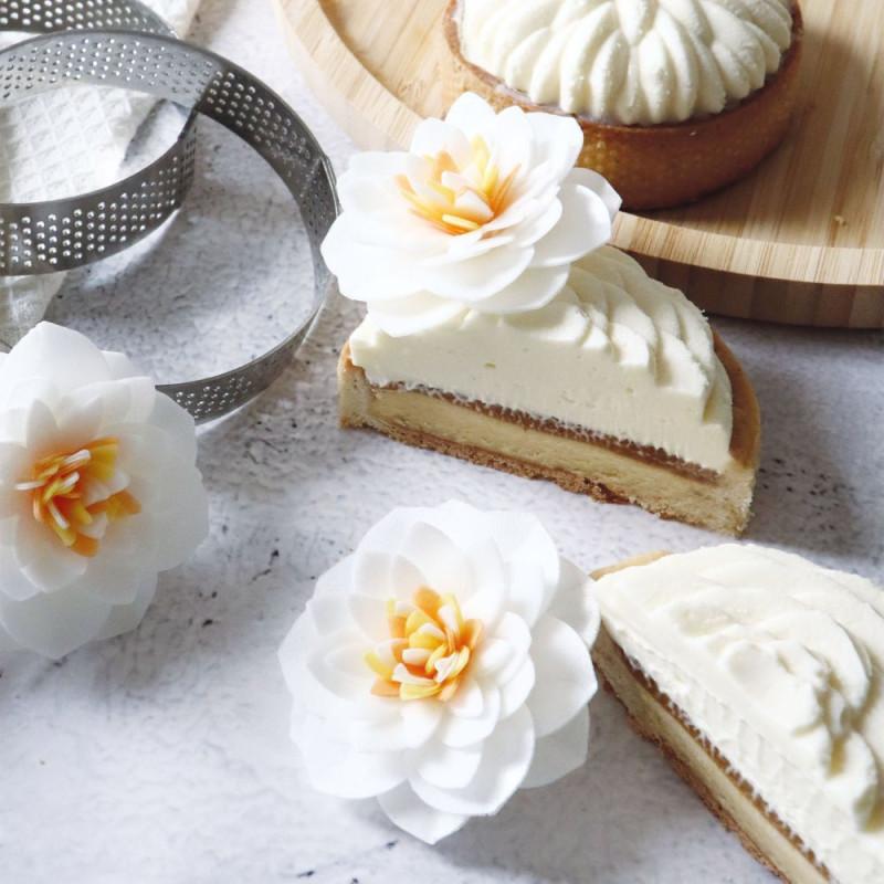 Scrapcooking 4 Fleurs Camélias Blancs En Azyme Pour La Décoration De Gâteaux