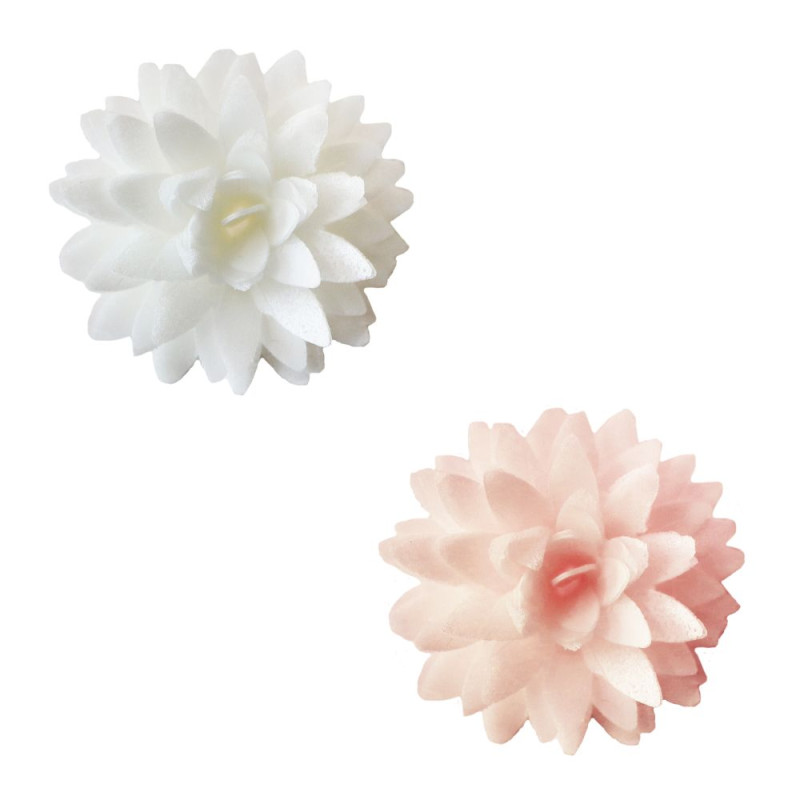 Scrapcooking 5 Dahlias En Azyme Blanc Et Rose Pastel Pour Déco De Gâteaux