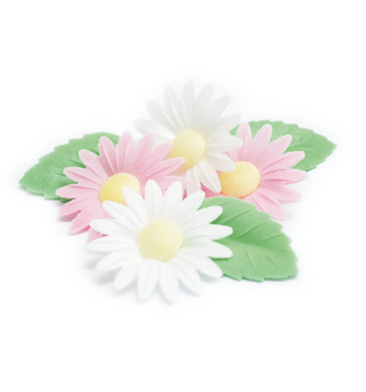 scrapcooking Fleurs azyme marguerites/feuilles vertes