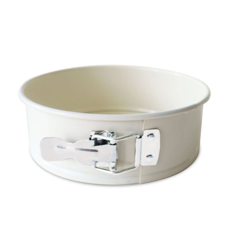 Scrapcooking Moule à Charnière Acier Antiadhésif Ø22 Cm