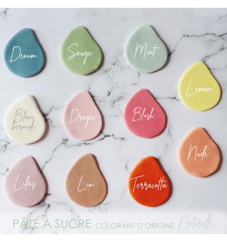 Scrapcooking Pâte à Sucre Colorant D'origine Naturelle Denim 250g