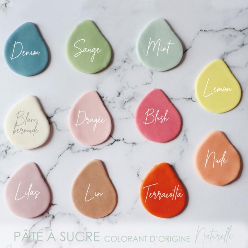 Scrapcooking Pâte à Sucre Colorant D'origine Naturelle Mint 250g