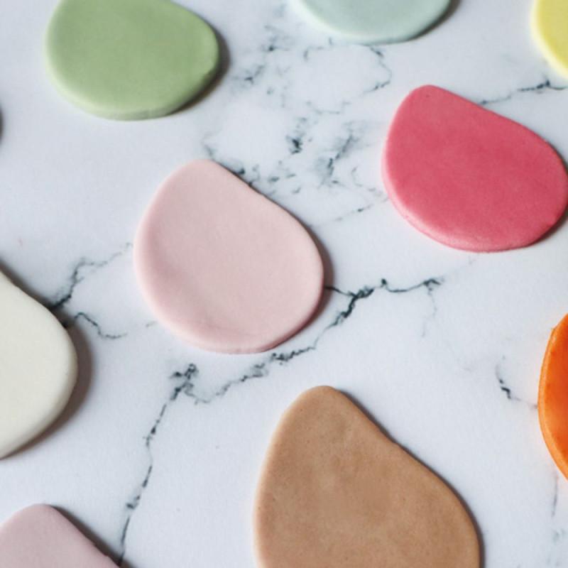 Scrapcooking Pâte à Sucre Colorant D'origine Naturelle Mint 250g