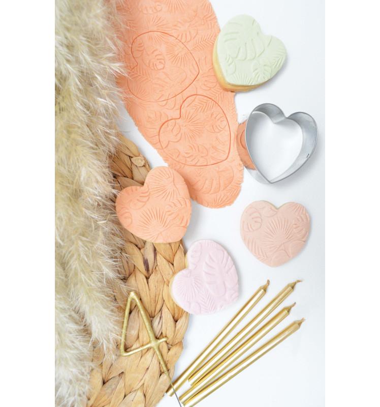 Scrapcooking Pâte à Sucre Colorant D'origine Naturelle Nude 250g