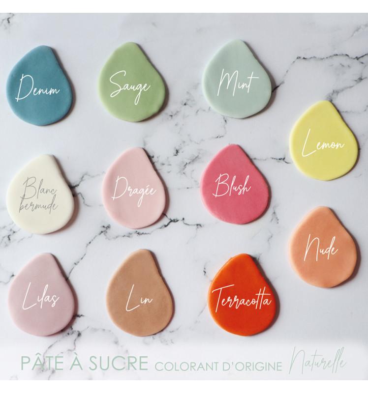 Scrapcooking Pâte à Sucre Colorant D'origine Naturelle Terracotta 250g