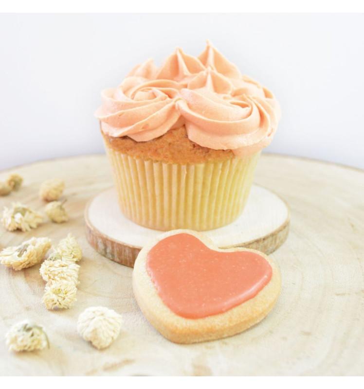 Scrapcooking Préparation Colorante En Poudre D’origine Naturelle TERRACOTTA 10g