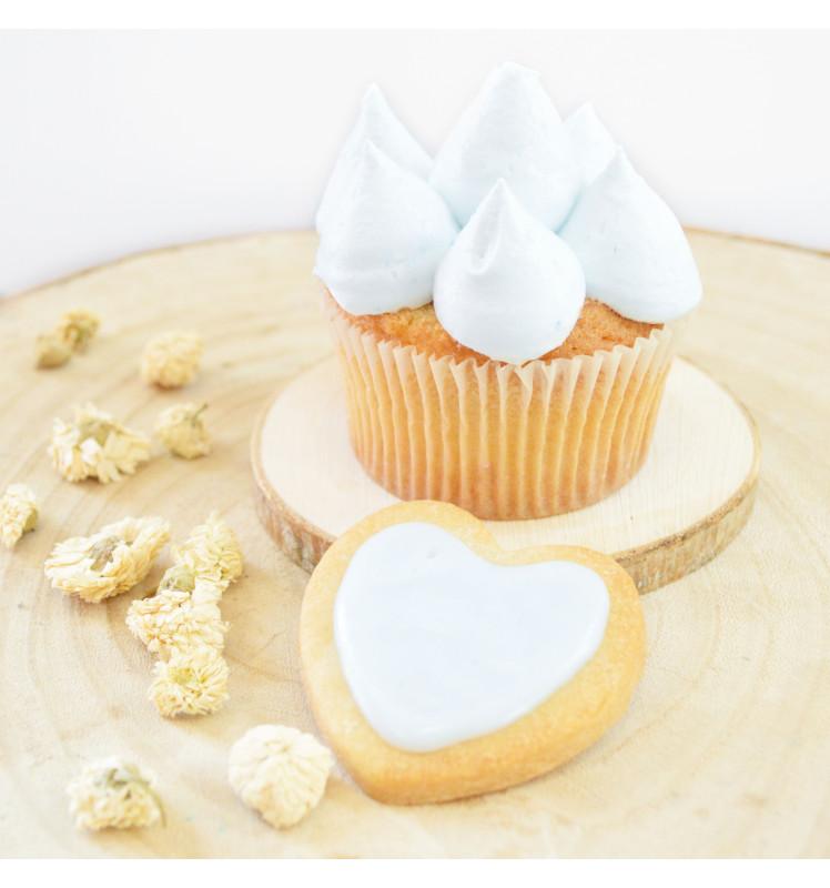 Scrapcooking Préparation Colorante En Poudre D’origine Naturelle MINT 10g