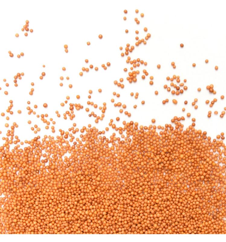 scrapcooking Décors sucrés mini-billes dorées 80g